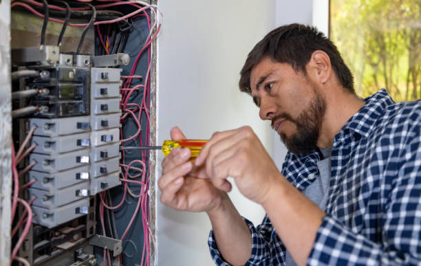 Best Electric Panel Repair  in Troy, AL